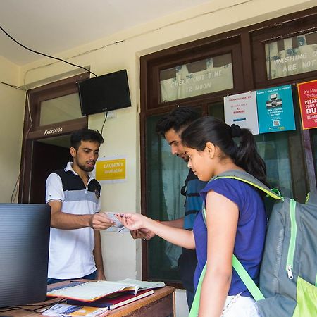 Backpacker Panda Manali Hostel Exterior photo